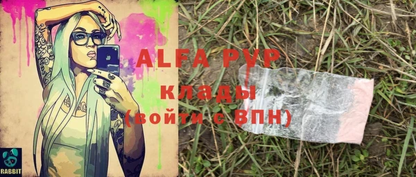 гашик Аркадак