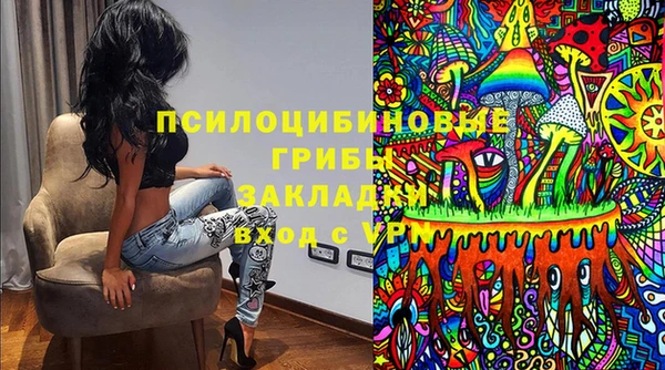 гашик Аркадак