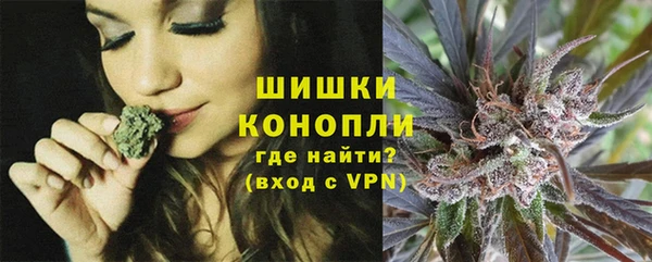 гашик Аркадак