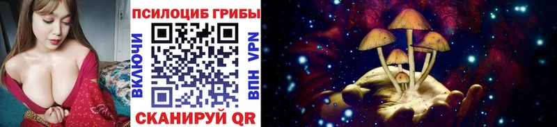 Галлюциногенные грибы Cubensis  Ступино 